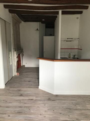 49100 ANGERS TYPE 1 BIS - CENTRE