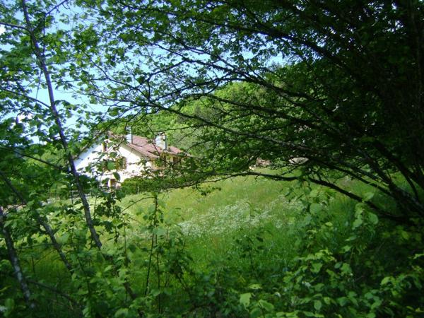 Vente / Appartement T3