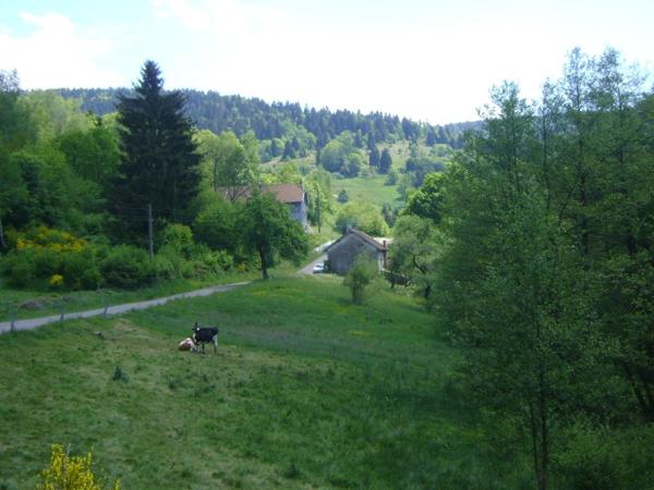 Vente / Appartement T3