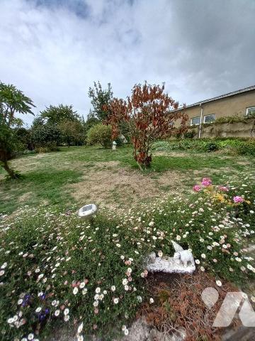 Exclusivement à l'Etude, LARCHAMP, Lot de 2 maisons de 74m² chacune :
- Une maison en pierres ...