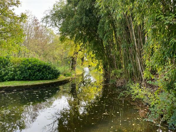 SECTEUR BARBEZIEUX Ancien moulin restauré sur plus de 7 hectares