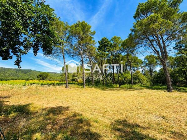 villa de plain pied avec joli jardin