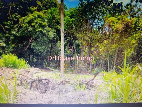 Terrain à vendre de 343 m²