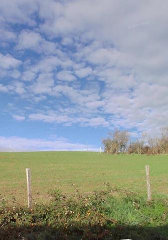 Terrain à SAINT-NIZIER-DE-FORNAS, 42380 - 5245m²