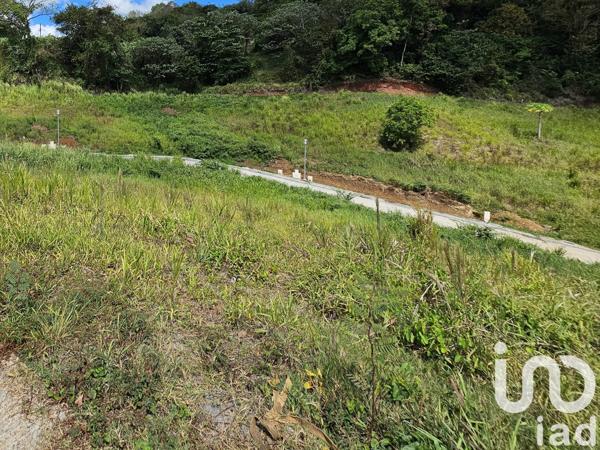 Terrain à vendre 592 m² Ducos