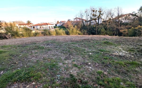 Terrain à vendre    Saint-André-de-Seignanx