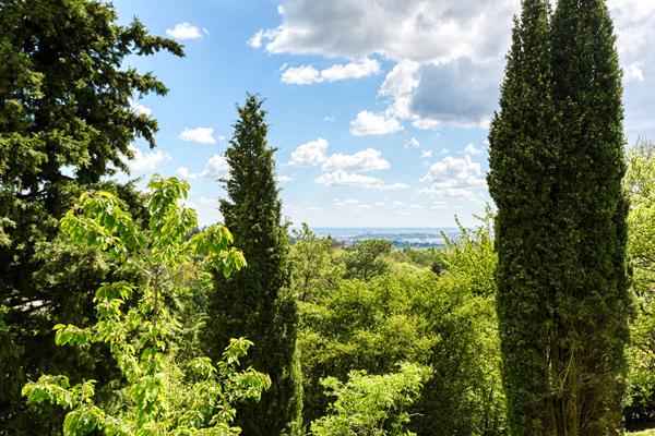 Limonest - Bâtisse d'exception 436m2 avec dépendances - Terrain 7660m2 Limonest Limonest - Bâtisse d'exception 436m2 avec dépendances - Terrain 7660m2 Limonest