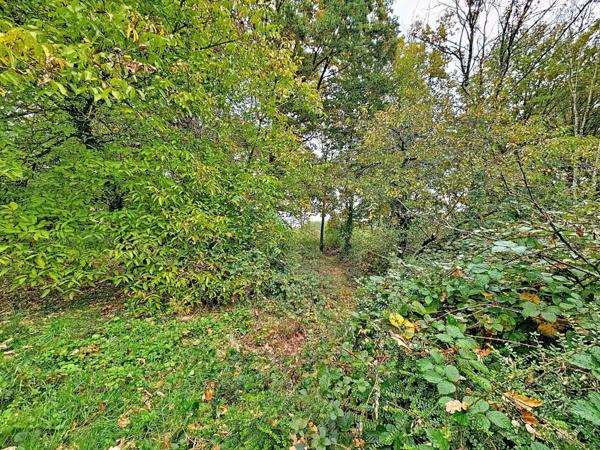 Terrain à bâtir de 1435m² proche Nangis