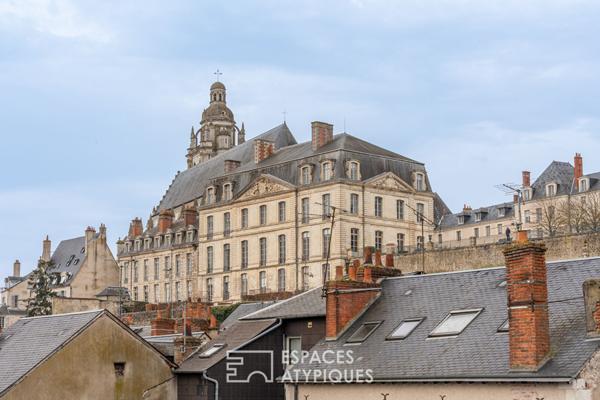 Duplex lumineux au coeur de Blois proche de la Loire