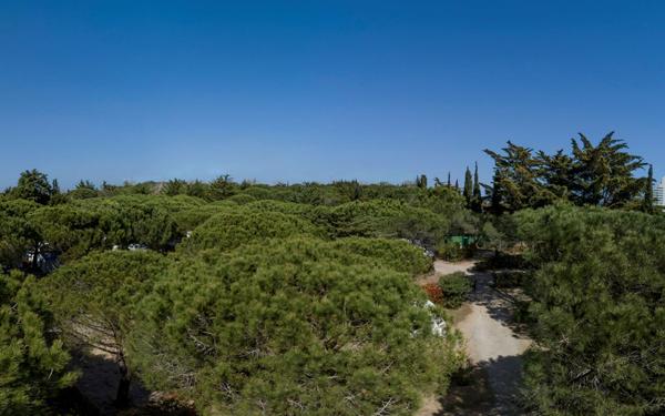 Appartement à vendre    3 pièces • 66 m2 La Grande-Motte