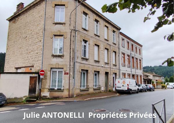 La SEAUVE SUR SEMENE (43140) Immeuble 543m² SEPT APPARTEMENTS, SEPT Places de stationnement grenier aménageable, caves en sous-sol