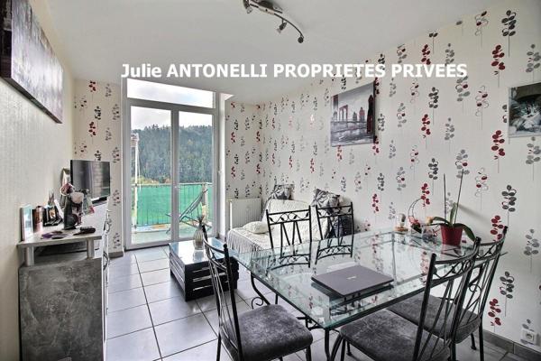 La SEAUVE SUR SEMENE (43140) Immeuble 543m² SEPT APPARTEMENTS, SEPT Places de stationnement grenier aménageable, caves en sous-sol