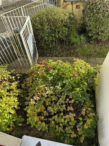 Appartement à vendre à Vannes dans le Morbihan (56000), ref : 56003-1376   
Port