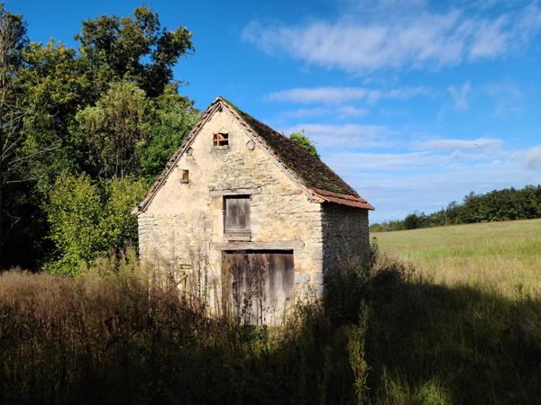 Grange sur terrain de loisirs à l'orée d'un bois