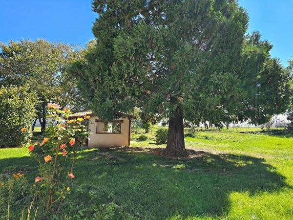 Propriété de 2 maisons, jardin, multiples projets