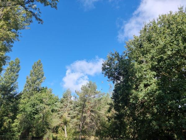 Propriété d'agrément à vendre à Pruniers-en-Sologne dans le Loir-et-Cher (41200), ref : 41036/3093   
Campagne