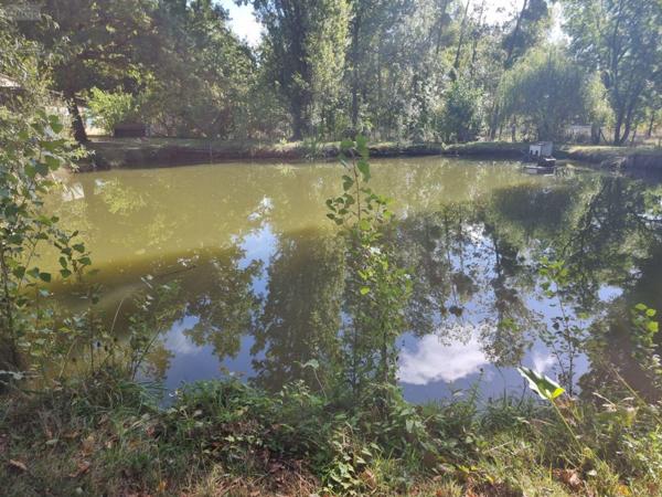 Propriété d'agrément à vendre à Pruniers-en-Sologne dans le Loir-et-Cher (41200), ref : 41036/3093   
Campagne