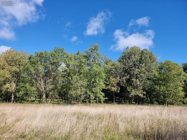 Propriété d'agrément à vendre à Pruniers-en-Sologne dans le Loir-et-Cher (41200), ref : 41036/3093   
Campagne
