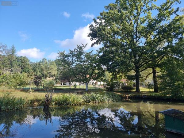 Propriété d'agrément à vendre à Pruniers-en-Sologne dans le Loir-et-Cher (41200), ref : 41036/3093   
Campagne