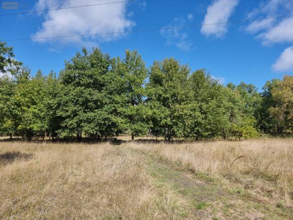 Propriété d'agrément à vendre à Pruniers-en-Sologne dans le Loir-et-Cher (41200), ref : 41036/3093   
Campagne