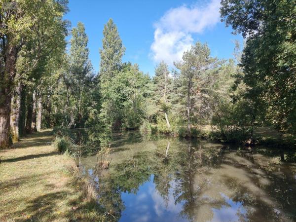 Propriété d'agrément à vendre à Pruniers-en-Sologne dans le Loir-et-Cher (41200), ref : 41036/3093   
Campagne