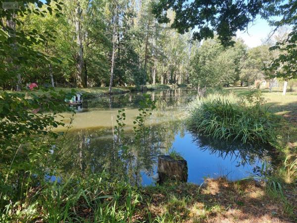 Propriété d'agrément à vendre à Pruniers-en-Sologne dans le Loir-et-Cher (41200), ref : 41036/3093   
Campagne