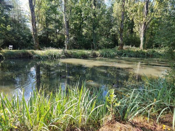 Propriété d'agrément à vendre à Pruniers-en-Sologne dans le Loir-et-Cher (41200), ref : 41036/3093   
Campagne