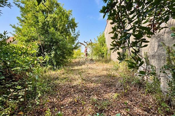 Exclusivité - Immeuble Chatillon Sur Indre 9 pièce(s) 238 m2
