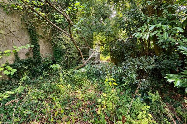 Exclusivité - Immeuble Chatillon Sur Indre 9 pièce(s) 238 m2