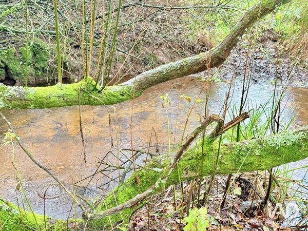 Maison à vendre 7 pièces 142 m² Lanvaudan