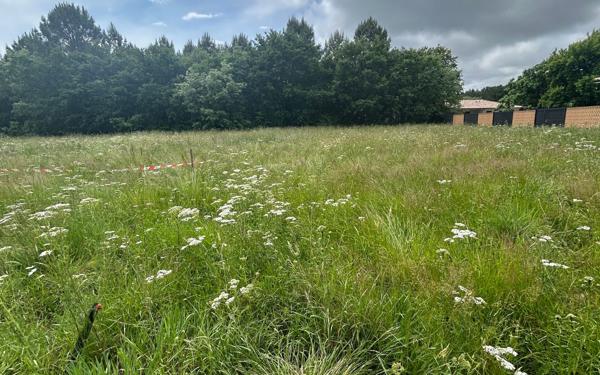 Terrain à vendre    Le Teich