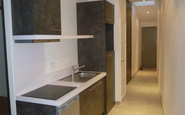 Appartement à louer    1 pièce •  Lyon 2