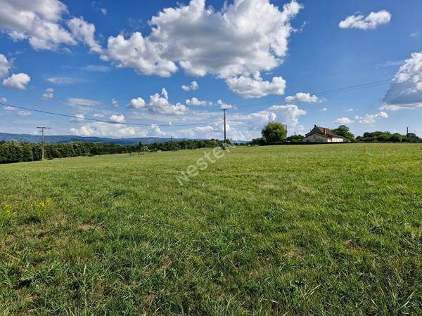 Ancienne ferme avec dépendances sur plus de 3 hectares de terrain libre entre Saint-Amour et Varennes-Saint-Sauveur