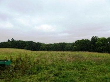 Terrain de loisirs - Bois - Etang à vendre à Plouray dans le Morbihan (56770), ref : 56075-2387