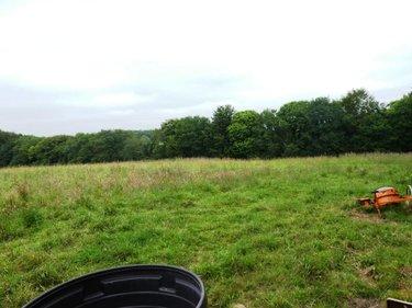 Terrain de loisirs - Bois - Etang à vendre à Plouray dans le Morbihan (56770), ref : 56075-2387