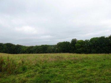 Terrain de loisirs - Bois - Etang à vendre à Plouray dans le Morbihan (56770), ref : 56075-2387