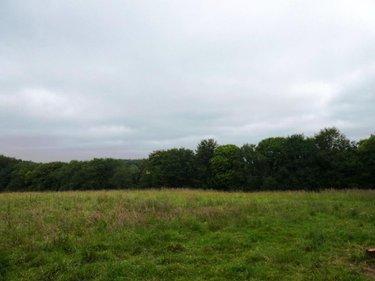 Terrain de loisirs - Bois - Etang à vendre à Plouray dans le Morbihan (56770), ref : 56075-2387