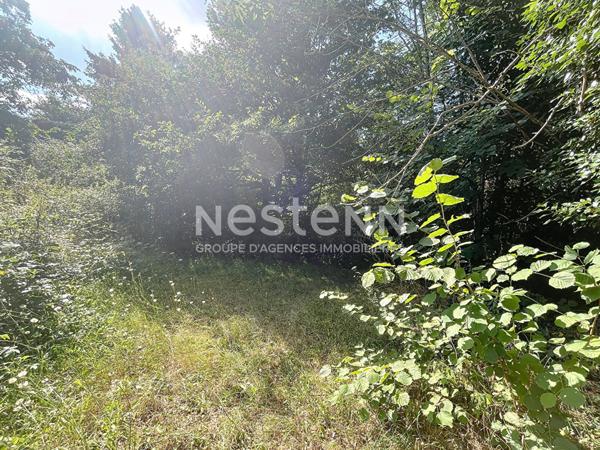 À vendre Grange en pierre 250 m² au sol Chamboulive (19)