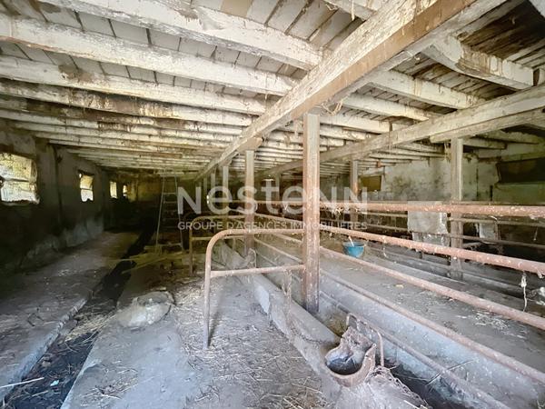 À vendre Grange en pierre 250 m² au sol Chamboulive (19)