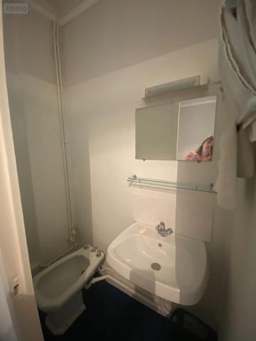 Maison à vendre à Saint-Bonnet-de-Salers dans le Cantal (15140), ref : 15060/1213