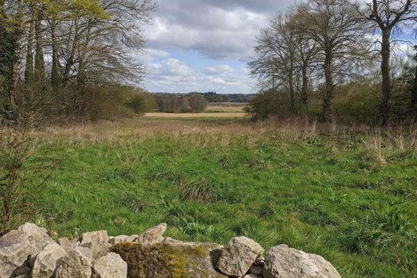 Maison à vendre à Combourg en Ille-et-Vilaine (35270), ref : 091-842   
Campagne sud