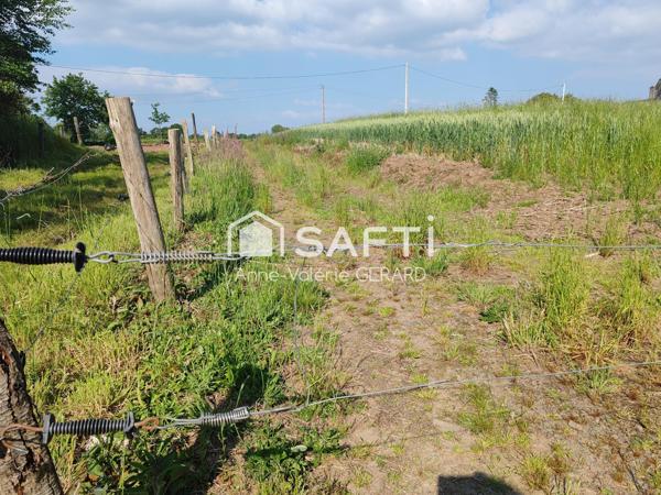 12 hectares de terres agricoles