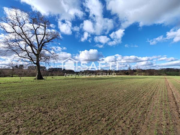 12 hectares de terres agricoles