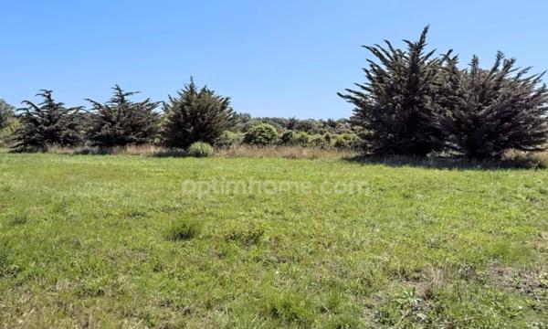 Terrain à vendre SAINT DENIS D'OLERON 17650