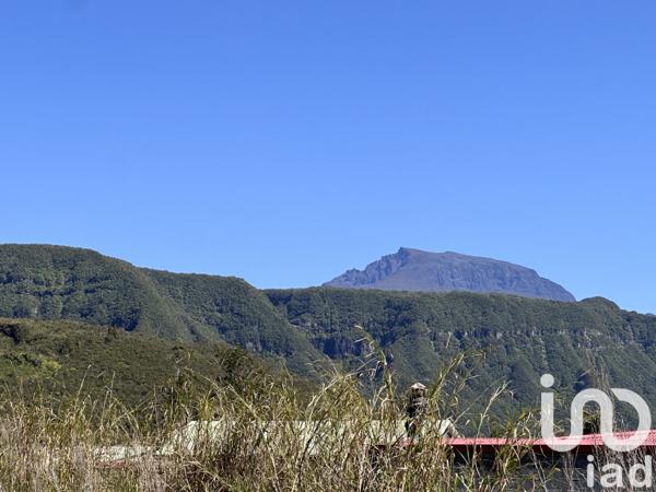 Terrain à vendre 4 841 m² La Plaine-des-Palmistes