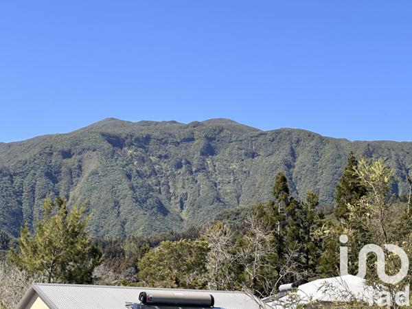 Terrain à vendre 4 841 m² La Plaine-des-Palmistes