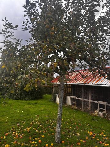 maison de village bien situé