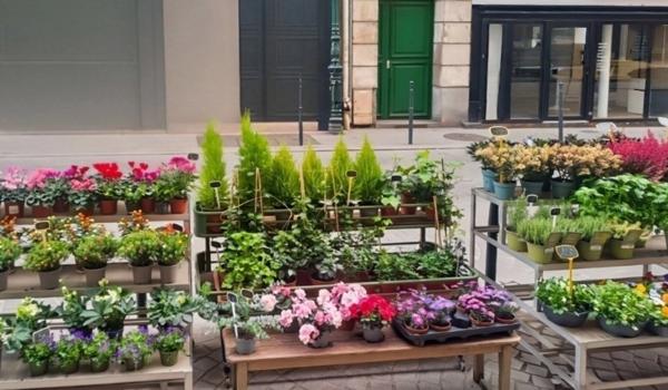 A A vendre COLOMBES (92) - Fonds de commerce de fleurs (emplacement n°1) - 50 m2 - 85 000 € honoraires d’agence inclus