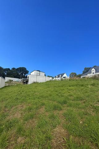 Terrain à vendre ARZAL (56)