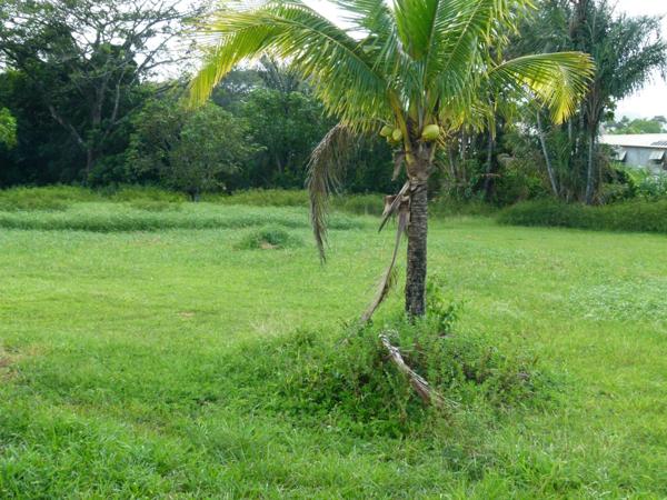 Très belle parcelle BORD DE ROUTE de 2,7 hectares constructible dédiée sur le PLU, à des activités industrielles